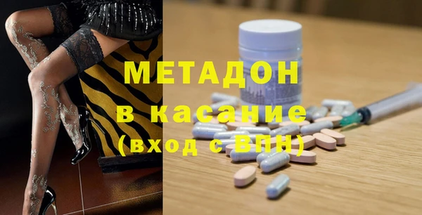 индика Аркадак