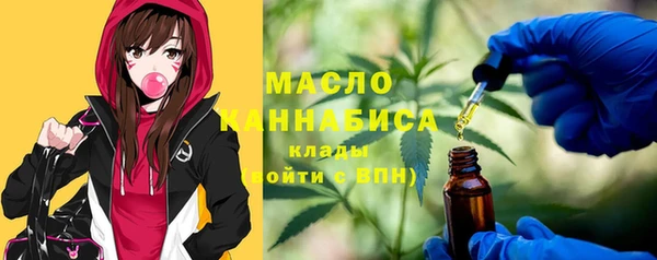 индика Аркадак