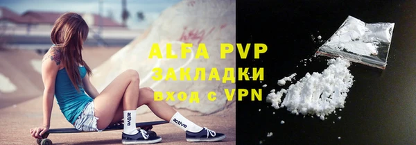 индика Аркадак