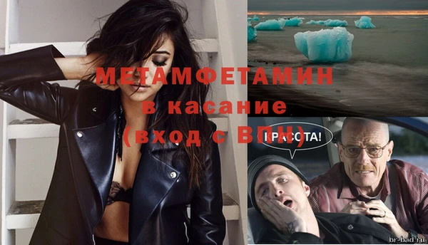 индика Аркадак