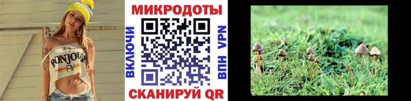 Галлюциногенные грибы Cubensis  Черемхово 